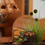 Отель Waldhotel Einstein Кирххундем
