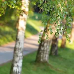Waldhotel Einstein Отель 3*