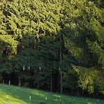 Waldhotel Einstein Кирххундем