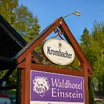 Отель Waldhotel Einstein