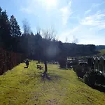 Waldhotel Einstein