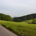 Waldhotel Einstein Hotel 3*