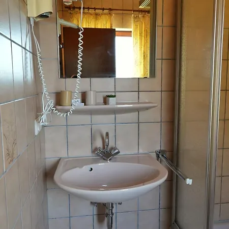 Waldhotel Einstein فندق 3*