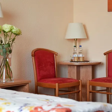 Waldhotel Einstein Hotel 3*