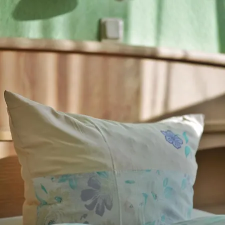 فندق Waldhotel Einstein 3*