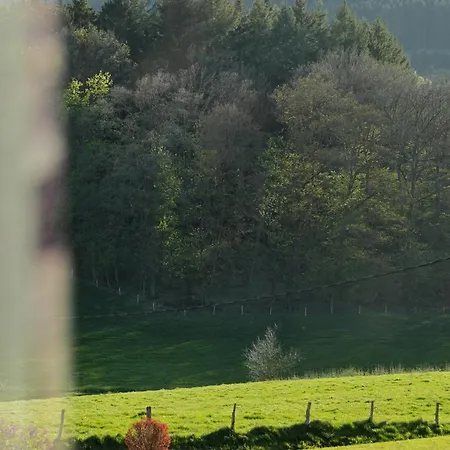 Waldhotel Einstein 3*