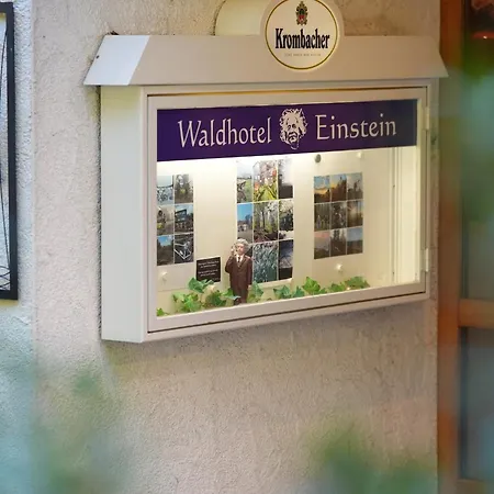 فندق Waldhotel Einstein كيرتشهانديم