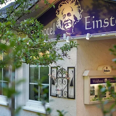 Waldhotel Einstein 3*