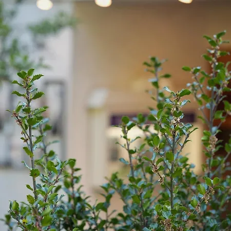 Waldhotel Einstein 3* كيرتشهانديم