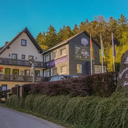 Waldhotel Einstein فندق كيرتشهانديم