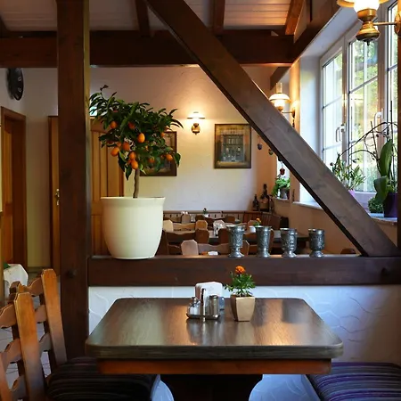 فندق Waldhotel Einstein كيرتشهانديم