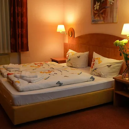 Waldhotel Einstein Hotel 3*