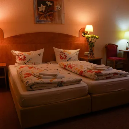 Waldhotel Einstein فندق كيرتشهانديم
