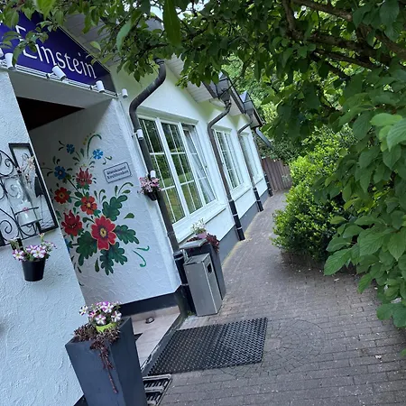 Waldhotel Einstein Hotel 3*