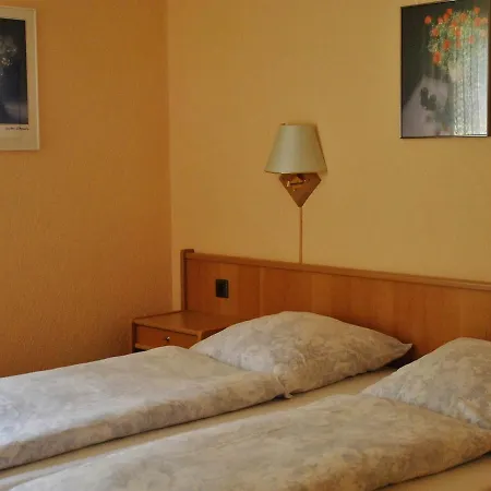 Waldhotel Einstein 酒店