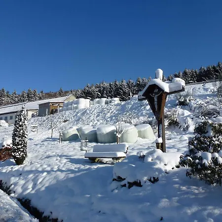 Waldhotel Einstein 酒店