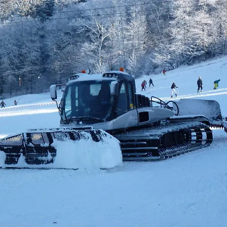 酒店 Waldhotel Einstein 3*