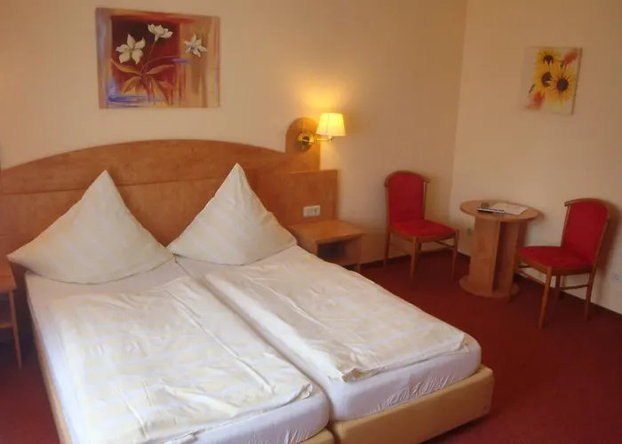 Waldhotel Einstein 3* 基希洪德姆