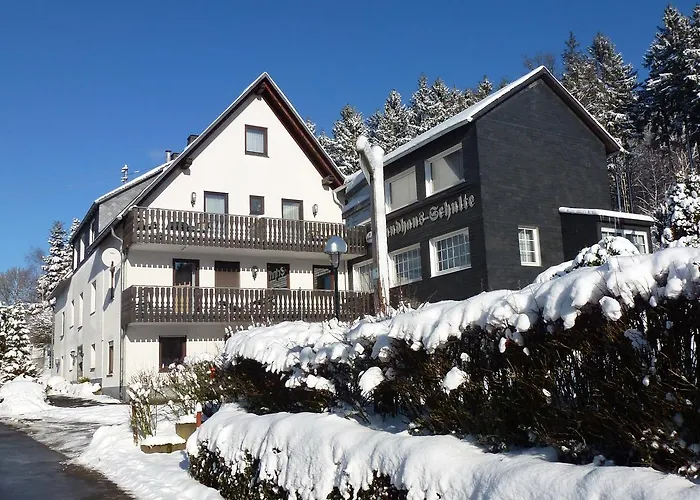 酒店 Waldhotel Einstein