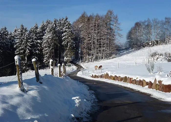 酒店 Waldhotel Einstein 基希洪德姆