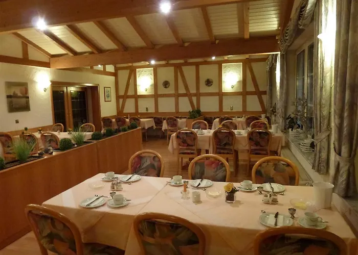 Waldhotel Einstein 酒店