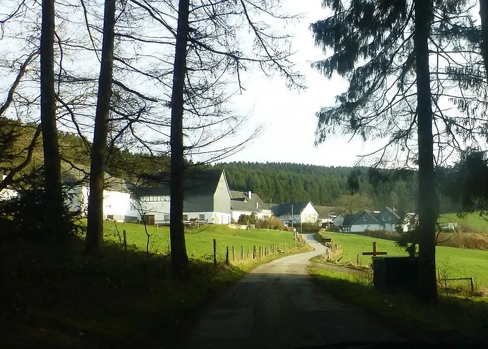 Waldhotel Einstein 3* 基希洪德姆