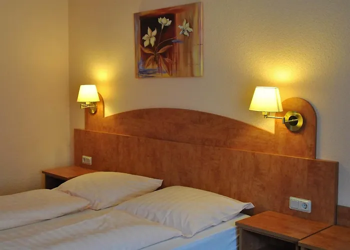 Waldhotel Einstein 3* 基希洪德姆