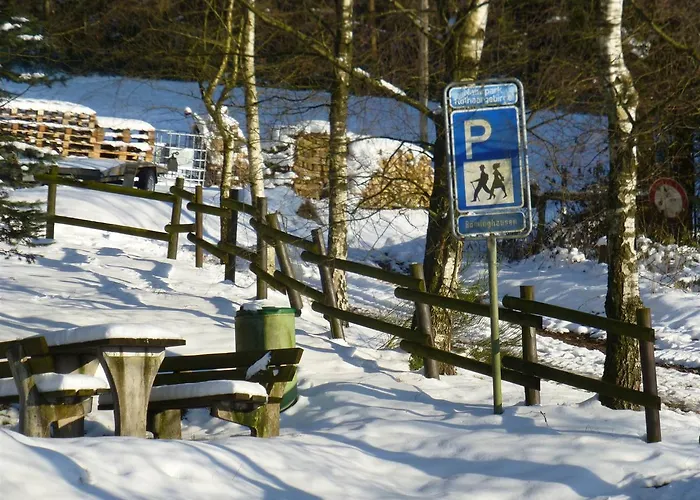 Waldhotel Einstein 酒店 3*