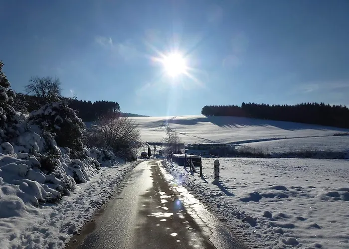 Waldhotel Einstein 酒店 3*