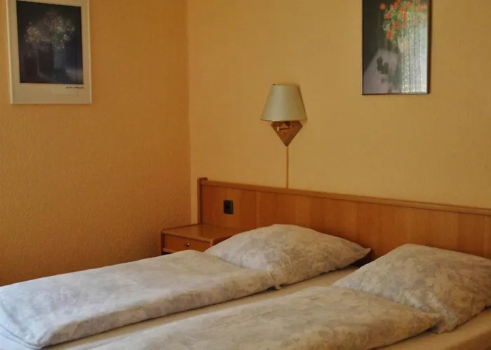 Waldhotel Einstein 酒店