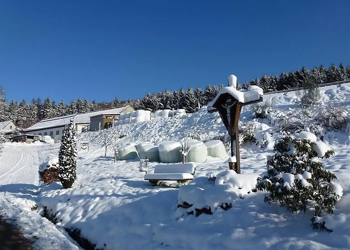 Waldhotel Einstein 酒店