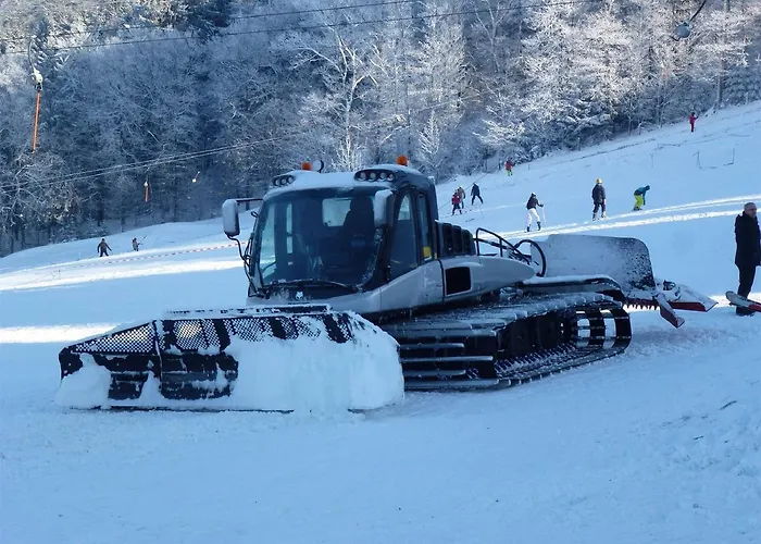 酒店 Waldhotel Einstein 3*