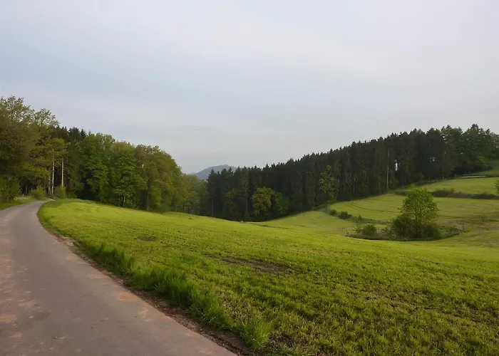 Waldhotel Einstein 酒店 3*