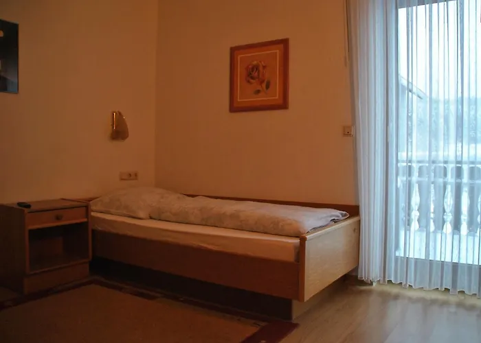 酒店 Waldhotel Einstein